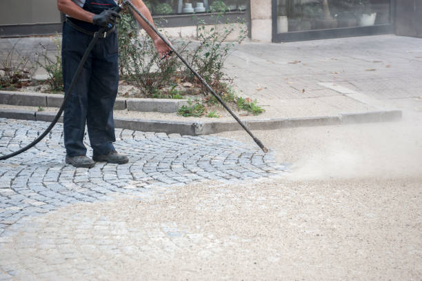 Best Window and Screen Pressure Cleaning in Lubeck, WV