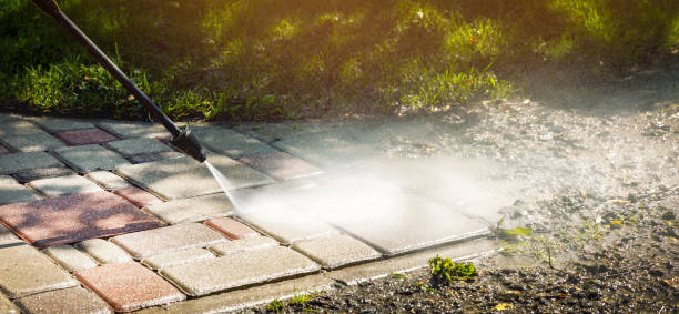 Best Fence Cleaning and Maintenance in Lubeck, WV